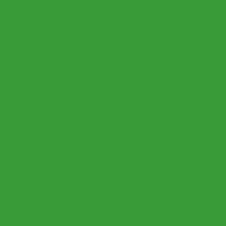 Kelly Green Kelly Green