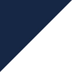 Navy/White